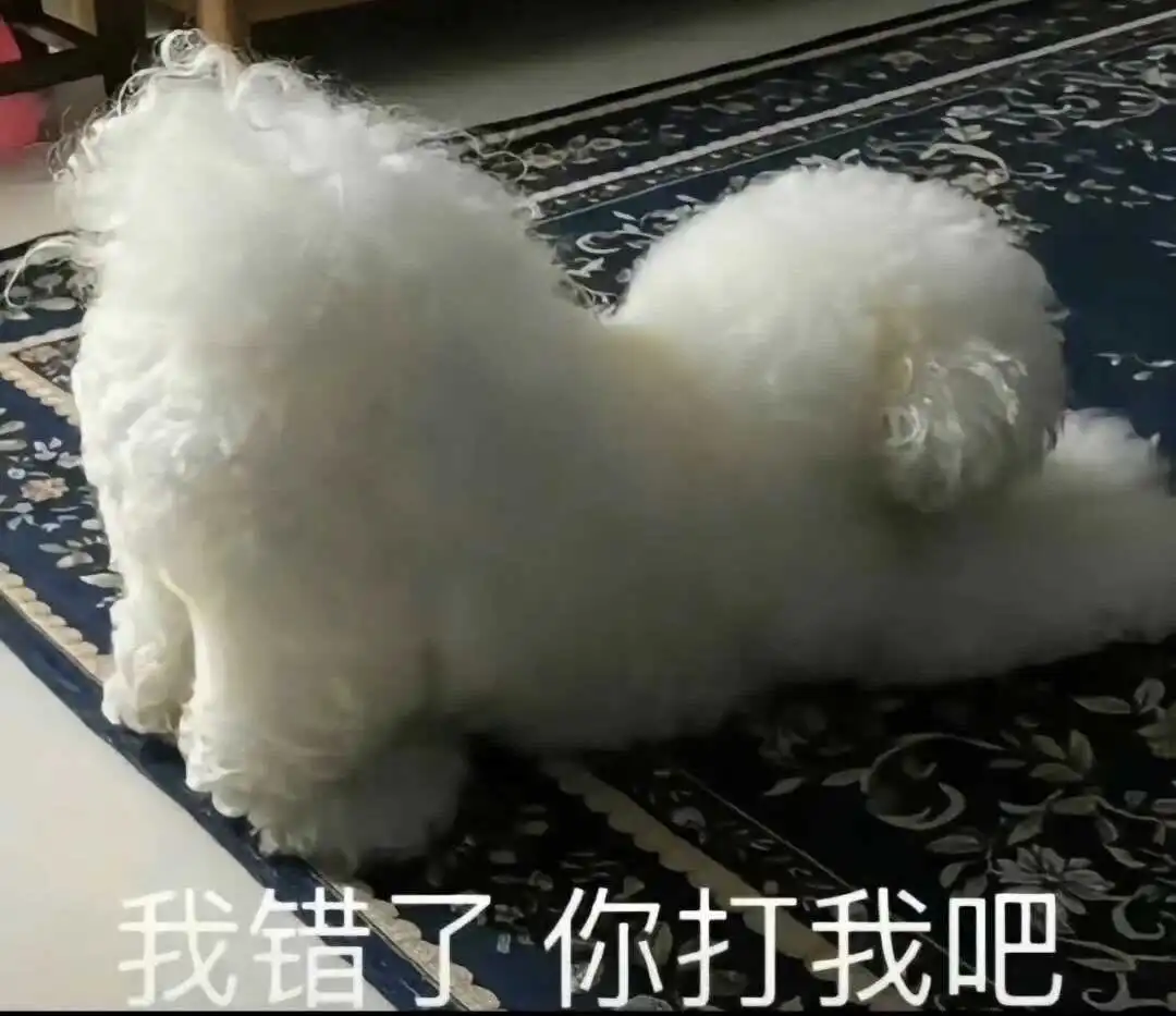 【西檬之家】大圈DOM是什么意思？BDSM核心术语解析