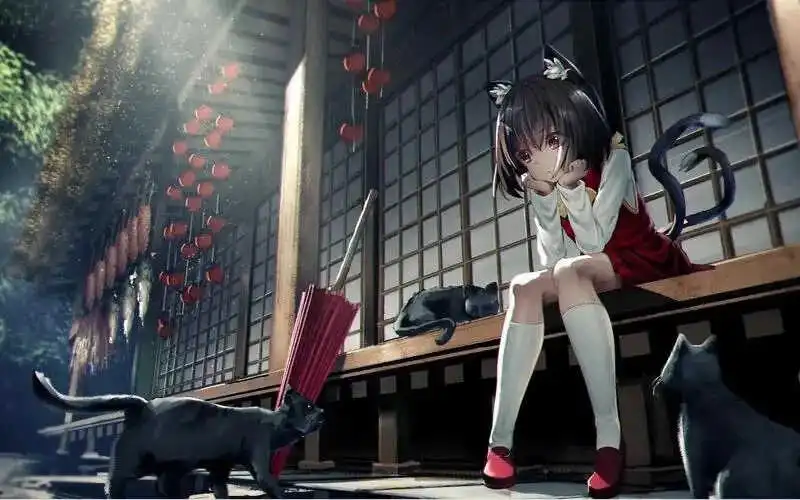 西檬之家-字母圈新人如何入圈？全面指南解析