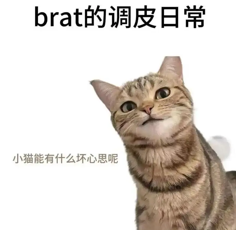 西檬之家-DS关系是什么？BDSM新手权威指南