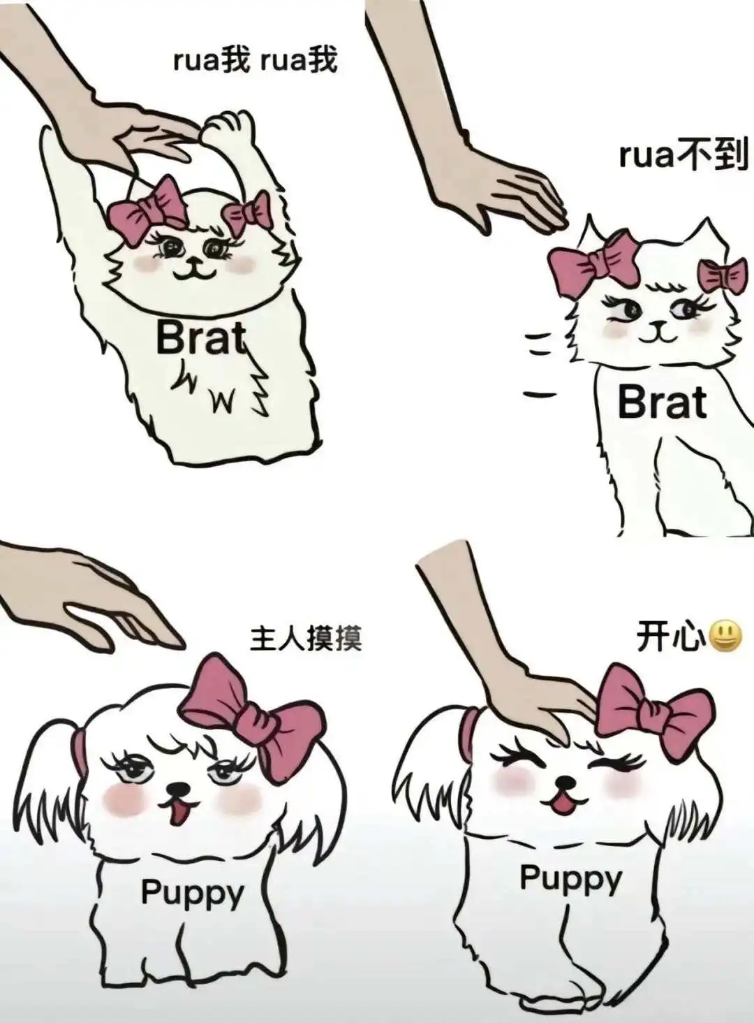 【西檬之家】字母圈新人入圈？先读懂BDSM的SSC原则与核心术语