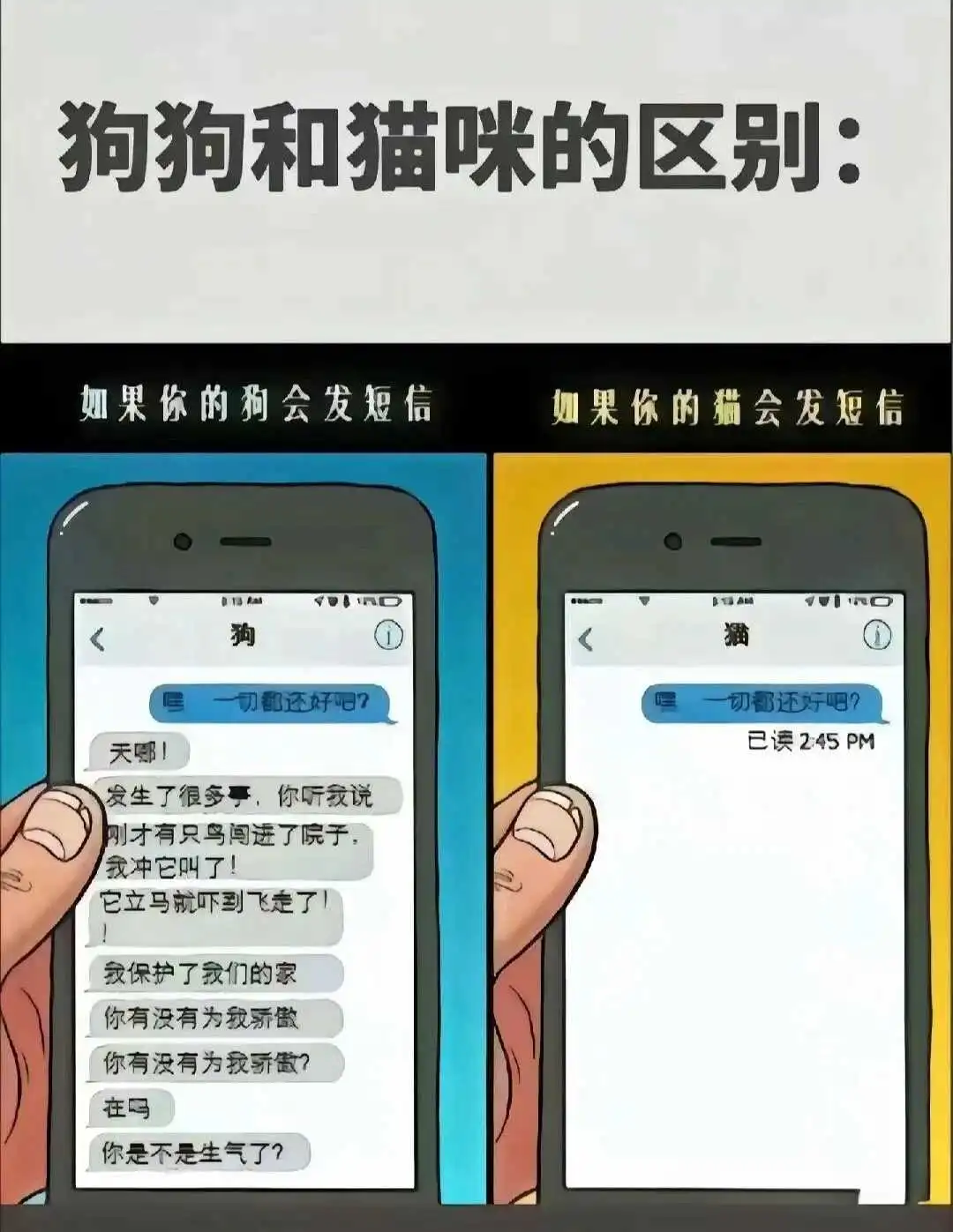 【西檬之家】字母圈新人入圈指南：理解BDSM核心与术语