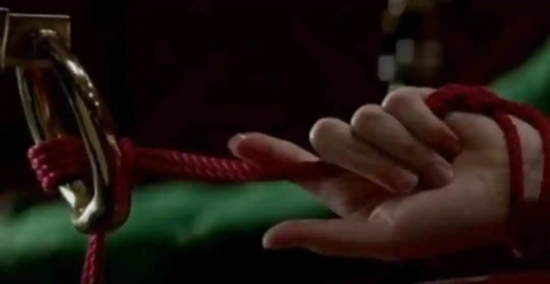 Ddlg是什么 - 2023_11_14_22_10_IMG_9024
