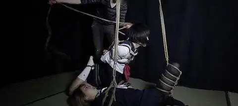 【西檬之家】Sub是什么？BDSM圈新人必读的臣服者指南