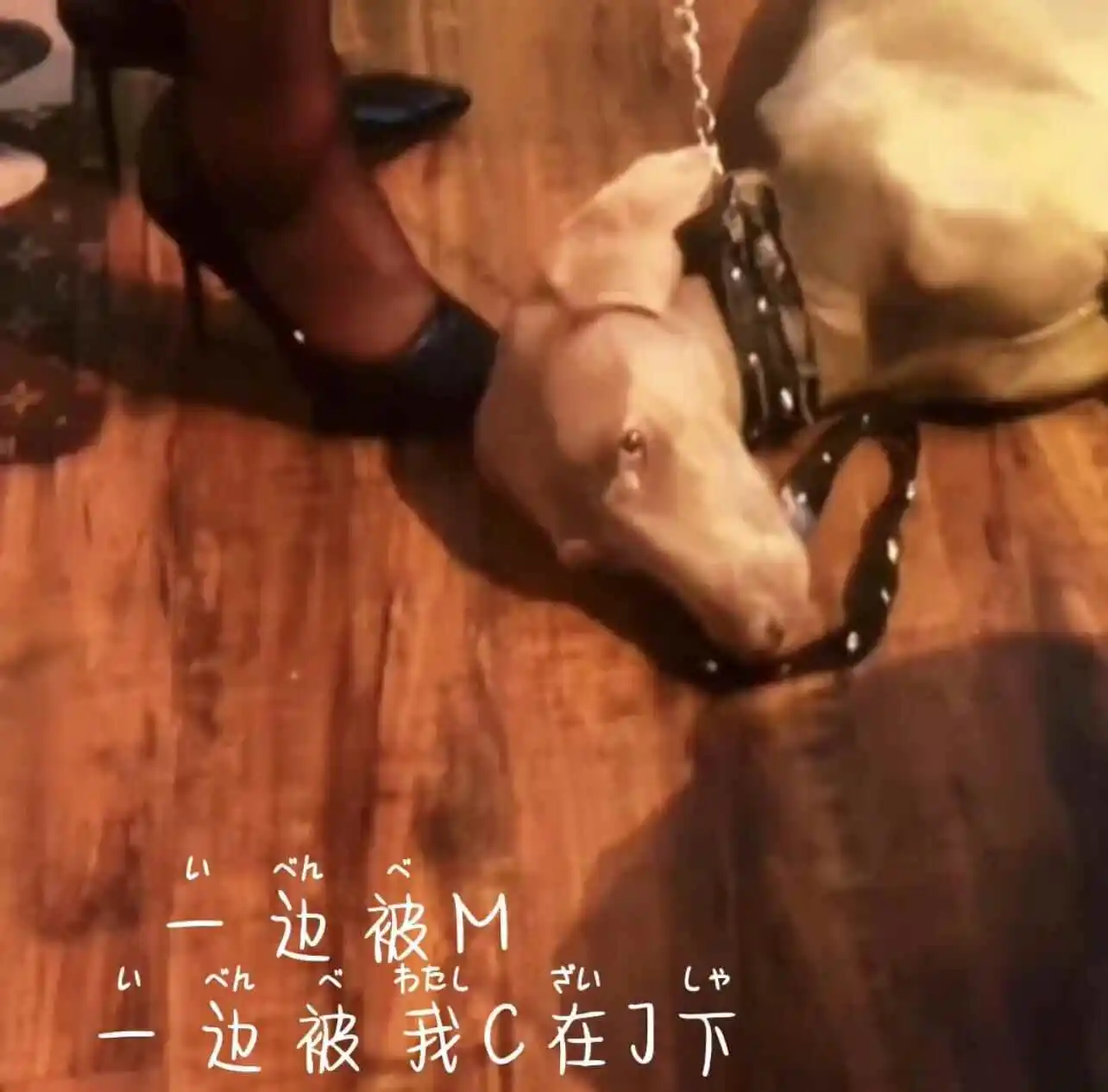 西檬之家：BDSM新手必读之Aftercare（事后护理）指南