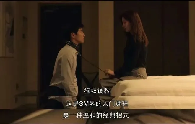 西檬之家-BDSM新人入圈指南：理解核心术语与安全原则