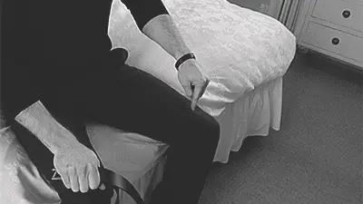 女王：实用指南