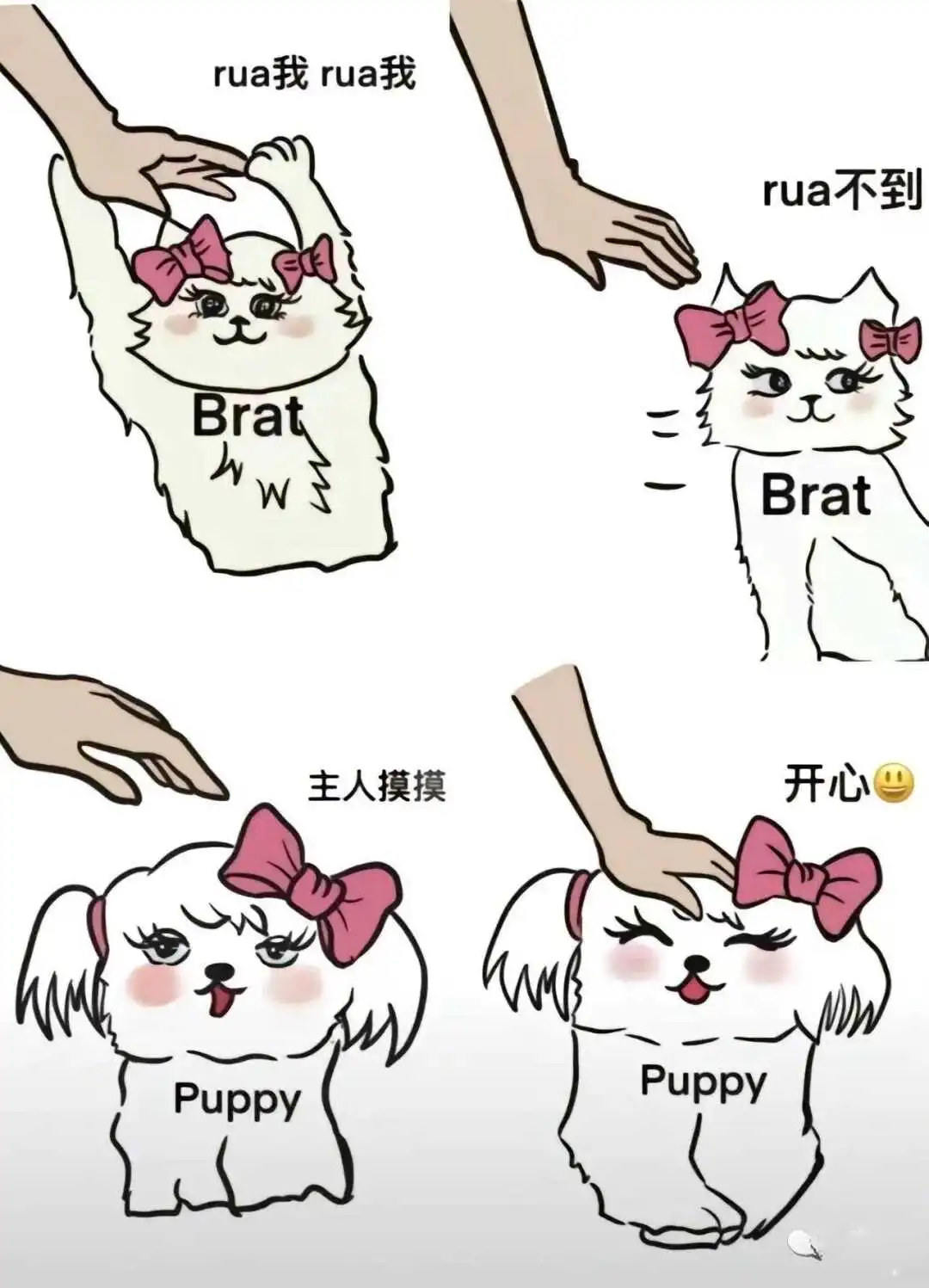 西檬之家-字母圈基础词典：掌握关键术语走向更深实践地